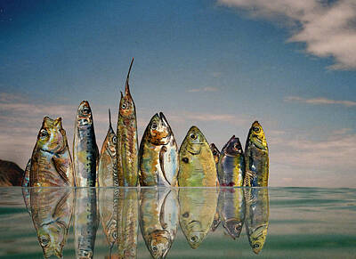 Flying Fish Paintings