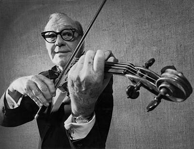 Violin Photographs