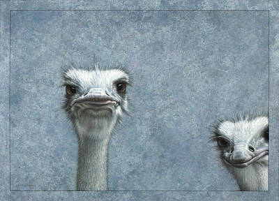 Ostrich Art Prints
