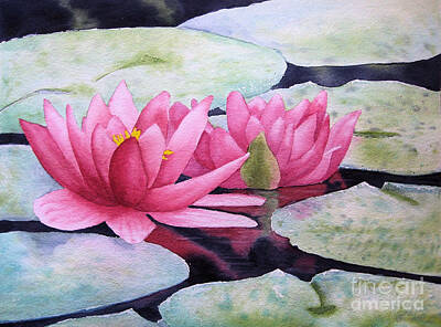  Painting - Pink Waterlilies by Diane Marcotte