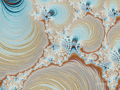 Designs Similar to Seashells by Heidi Smith