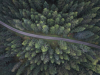 Designs Similar to Small Road Through The Forest