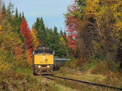  Photograph - Fall Colours With Train by Steve Boyko