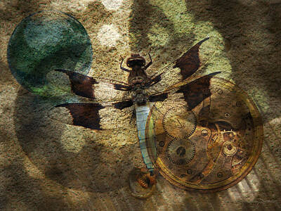  Photograph - The Dharma Of The Dragonfly by Karen Casey-Smith