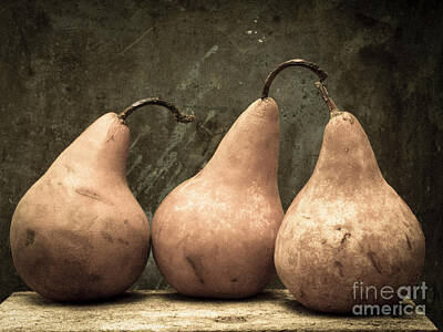 Pears Fruit Box Still Life Pairs Three Healthy Classical Art