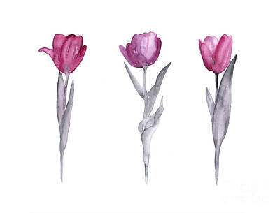 Tulips Art Prints