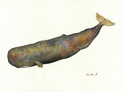 Designs Similar to Sperm whale #1 by Juan Bosco