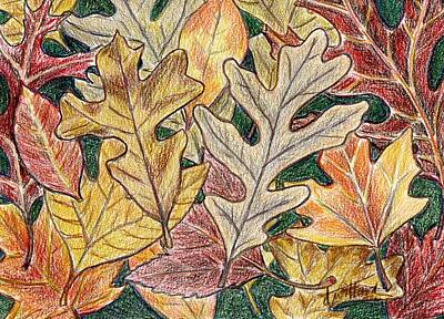  Drawing - Autumn Leaves by Deborah Willard