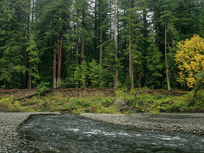 Designs Similar to Bull Creek to the Eel