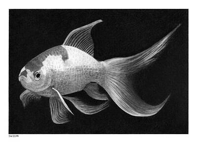 Designs Similar to Goldfish by Scott Woyak