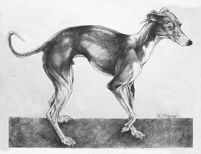 Designs Similar to Italian Greyhound
