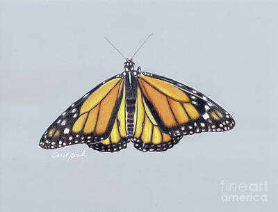  Painting - Monarch Butterfly by Carol Bond