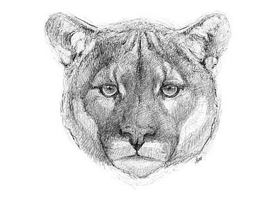 Cougar Mountain Drawings for Sale - Fine Art America