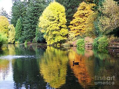  Photograph - Perfect Autumn Day by Julie Rauscher
