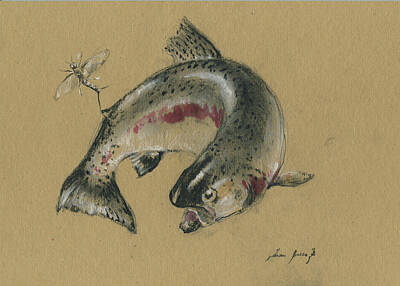 Designs Similar to Trout eating by Juan Bosco