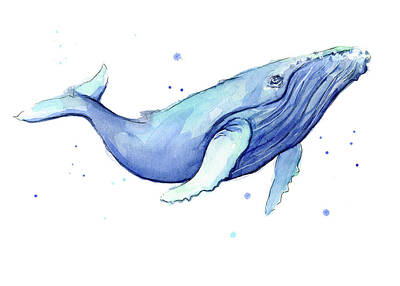 Designs Similar to Whale Watercolor Humpback