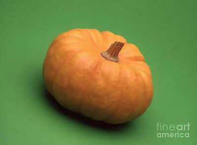 Designs Similar to A Pumpkin  by European School