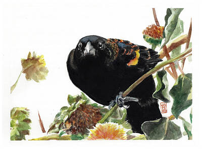 Red-winged Blackbird Original Artwork