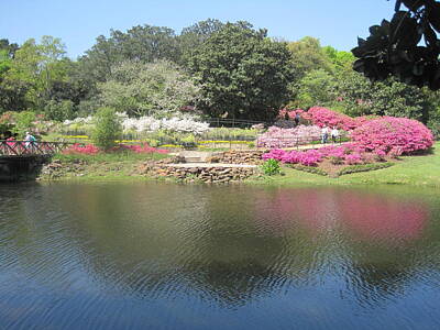  Photograph - Bellingrath in Spring by Peggy M McAloon
