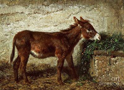 Equus Asinus Paintings