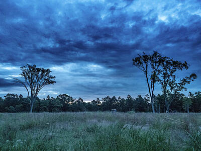  Photograph - Friendship Blue Hour Sunrise by Louis Dallara