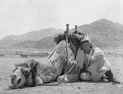 Lawrence of Arabia T E Lawrence 7x3 Inch Reprint Photograph 