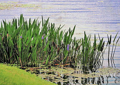 Designs Similar to Purple Pickerel Weed