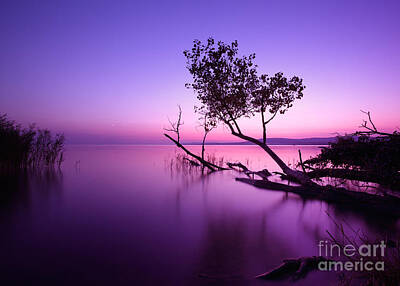 Designs Similar to Sunset Lake This Photo Make