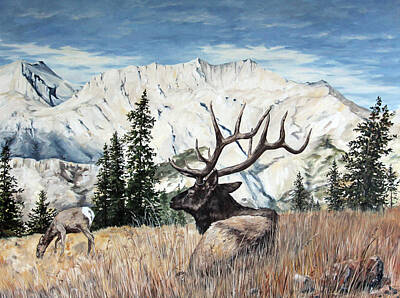 Rocky Mountain Elk Foundation Art