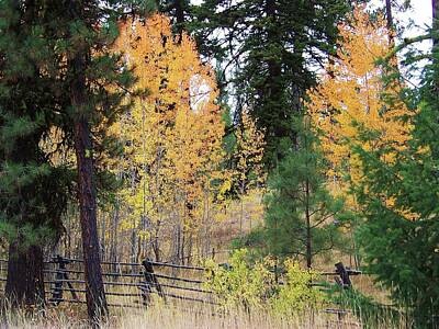  Photograph - Wooden Fence in Autumn by Julie Rauscher