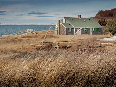  Photograph - Beach House in Truro Cape Cod by Darius Aniunas