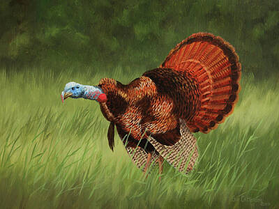 Eastern Wild Turkey Art Prints
