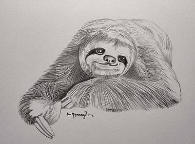 Sloth Drawings Original Artwork