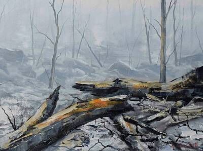 Bushfire Art Prints