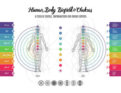  Digital Art - Human Body Biofield and Chakras with Female and Male Anatomy by Nathalie Strassburg