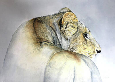  Painting - Lioness by Diane Marcotte