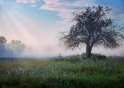 Designs Similar to Lone Tree in Pasture