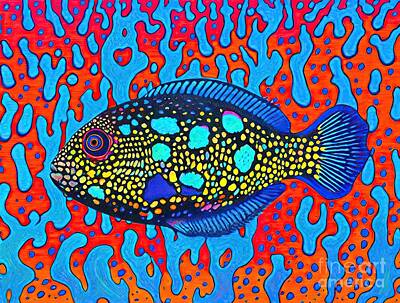 Water Triggerfish Paintings