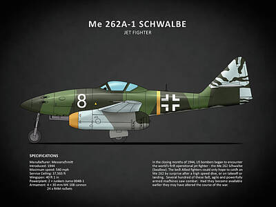 Messerschmitt Me 262 Me262 EJG2 German Aviation Plane Art Print 