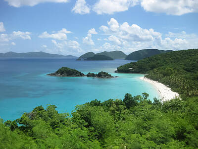 United States Virgin Islands Art