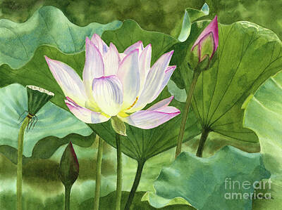 Lotus Flower Original Artwork for Sale - Fine Art America