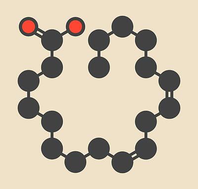 Designs Similar to Linoleic Acid Molecule