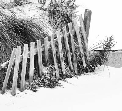 Crooked Island Dunes Art Prints