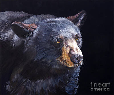 Black Bear Art Prints | Fine Art America