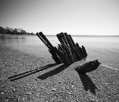 Designs Similar to Beach Pilings