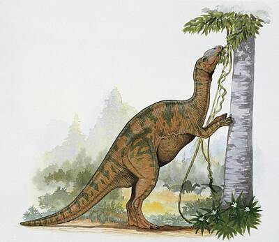 Hadrosaurus Foulkii Art