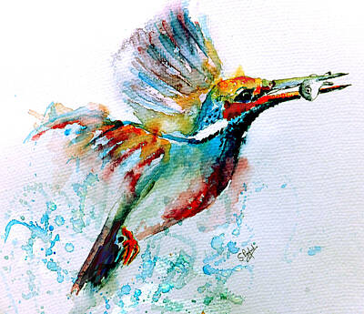 Kingfisher Paintings
