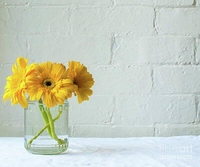  Photograph - Yellow gerberas in glass jar by Natalie Board