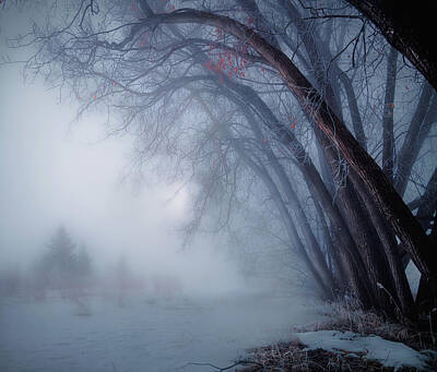 Designs Similar to Spring Time Foggy Morning