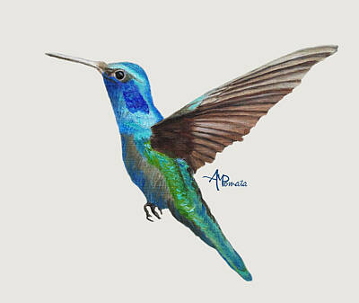 Designs Similar to Flying Hummingbird I